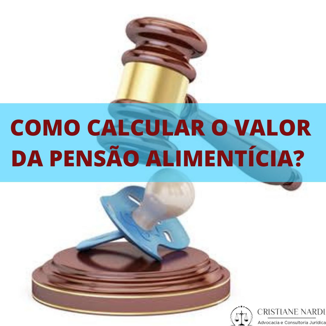 Como calcular o valor da pensão alimentícia? – Cristiane Nardi